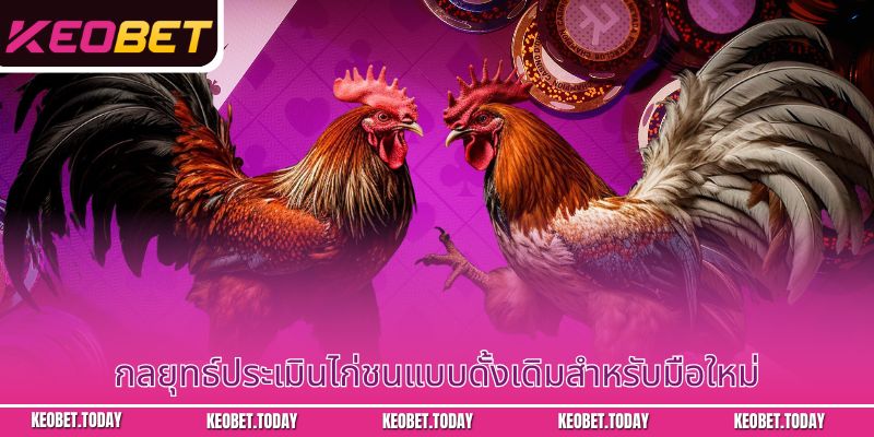 กลยุทธ์ประเมินไก่ชนแบบดั้งเดิมสำหรับมือใหม่