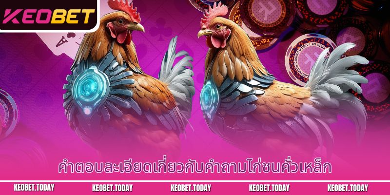 ภาพรวมเกี่ยวกับการเล่นไก่ชนคั่วเหล็ก