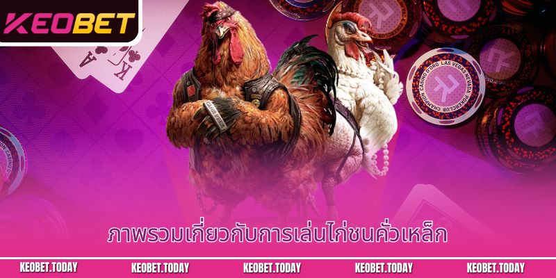 คำตอบละเอียดเกี่ยวกับคำถามไก่ชนคั่วเหล็ก