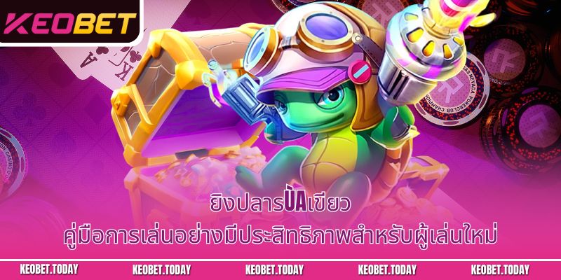 ยิงปลารùaเขียว: คู่มือการเล่นอย่างมีประสิทธิภาพสำหรับผู้เล่นใหม่