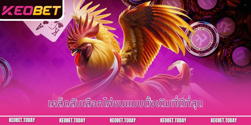 เคล็ดลับเลือกไก่ชนแบบดั้งเดิมที่ดีที่สุด